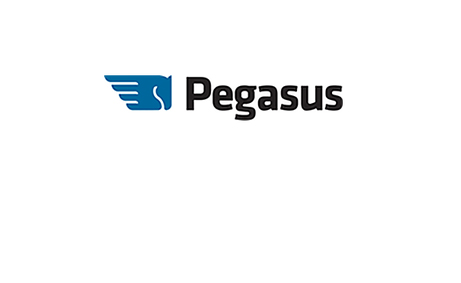 ProTech-Solutions Acquires Pegasus Testing and Inspection Services